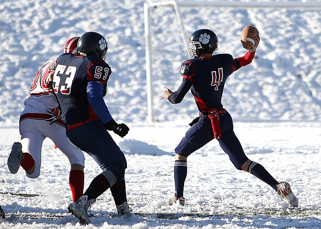 德甲半场：莱默尔破门，纳尔泰进球被吹，拜仁1-0斯图加特